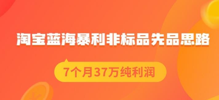 盗坤淘宝蓝海暴利非标品先品思路，7个月37万纯利润，压箱干货分享！【付费文章】-华创网