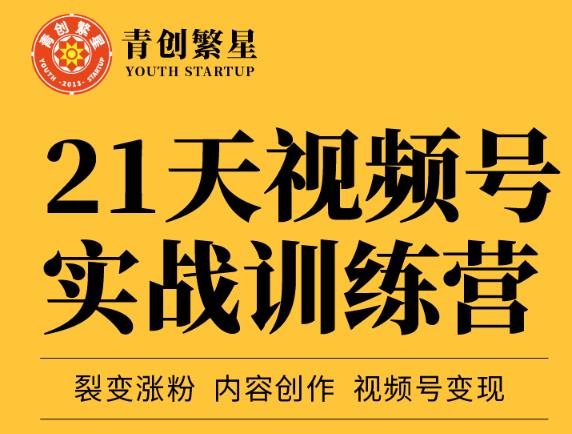 张萌21天视频号实战训练营，裂变涨粉、内容创作、视频号变现 价值298元-华创网