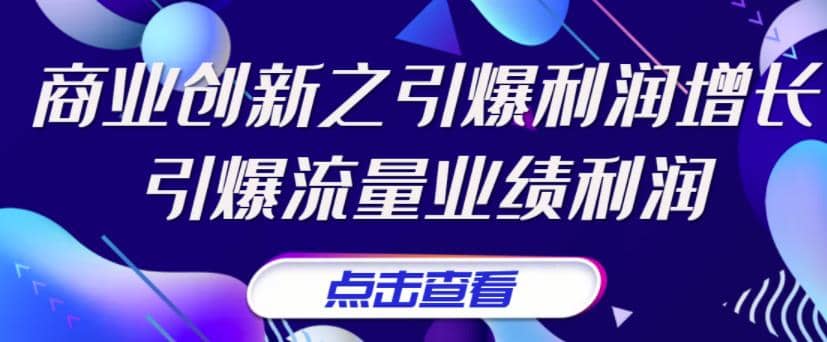 《商业创新之引爆利润增长》引爆流量业绩利润-华创网