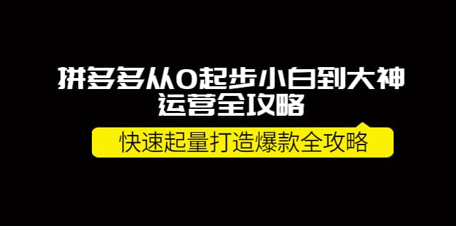 拼多多从0起步小白到大神运营全攻略-华创网