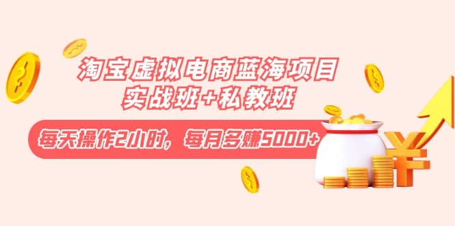 淘宝虚拟电商蓝海项目实战班 私教班-华创网