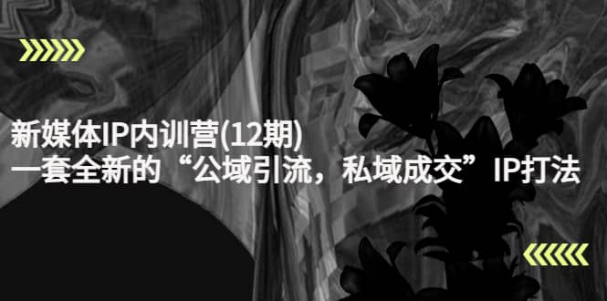 新媒体IP内训营(12期)，一套全新的“公域引流，私域成交”IP打法，直接带走-华创网