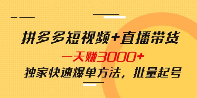 拼多多短视频 直播带货，一天赚3000 独家快速爆单方法，批量起号-华创网