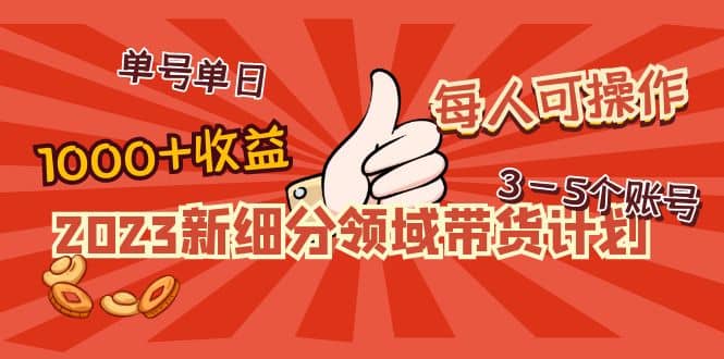 2023新细分领域带货计划：单号单日1000 收益不难，每人可操作3-5个账号-华创网