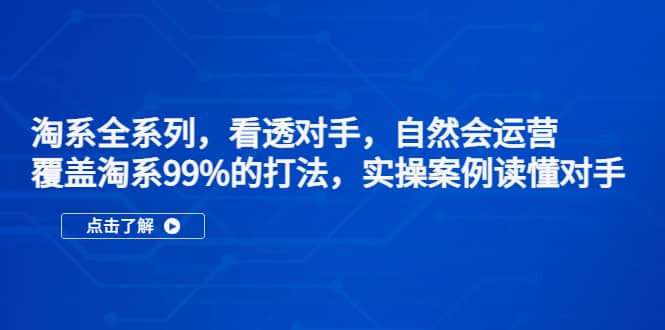 淘系全系列，看透对手，自然会运营，覆盖淘系99%·打法，实操案例读懂对手-华创网