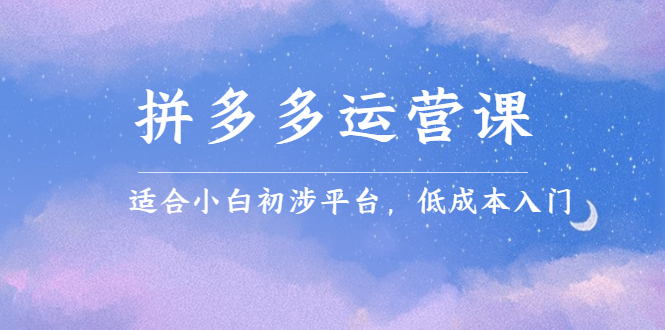拼多多运营课，适合小白初涉平台，低成本入门-华创网