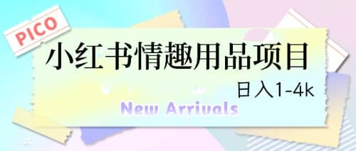 最新小红书情趣用品项目，日入1-4k-华创网