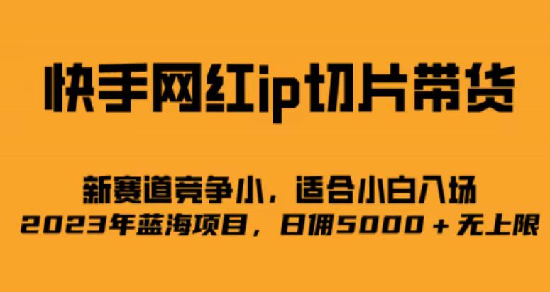 快手网红ip切片新赛道，竞争小事，适合小白 2023蓝海项目-华创网