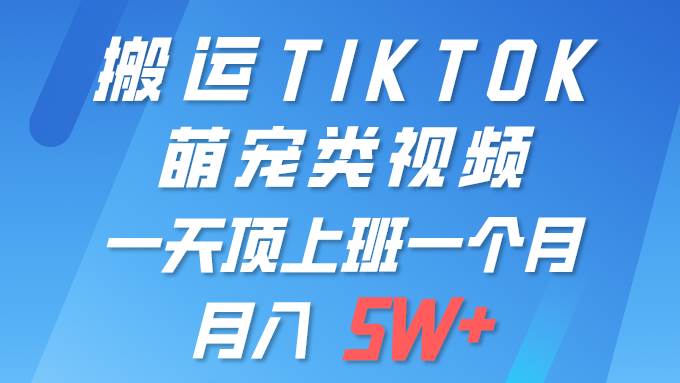 一键搬运TIKTOK萌宠类视频 一部手机即可操作 所有平台均可发布 轻松月入5W+-华创网