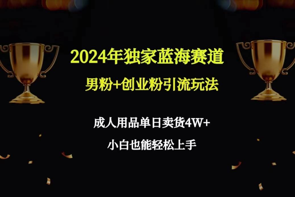 2024年独家蓝海赛道男粉+创业粉引流玩法，成人用品单日卖货4W+保姆教程-华创网