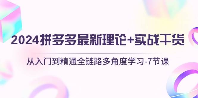 2024拼多多 最新理论+实战干货，从入门到精通全链路多角度学习-7节课-华创网