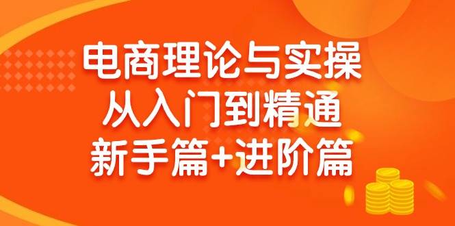 电商理论与实操从入门到精通 新手篇+进阶篇-华创网