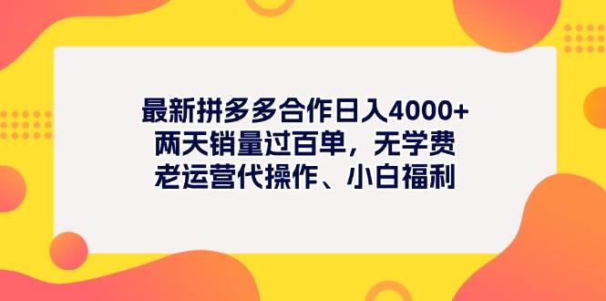 最新拼多多项目日入4000+两天销量过百单，无学费、老运营代操作、小白福利-华创网