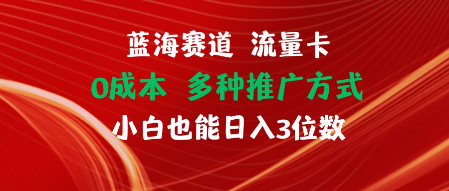 蓝海赛道 流量卡 0成本 小白也能日入三位数-华创网