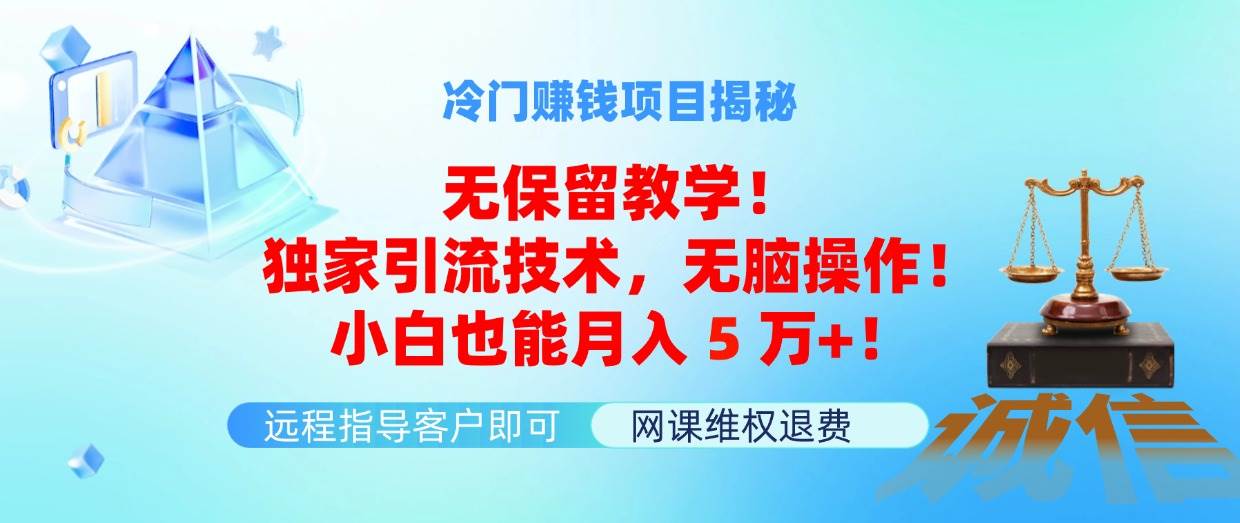 冷门赚钱项目无保留教学！独家引流技术，无脑操作！小白也能月入5万+！-华创网