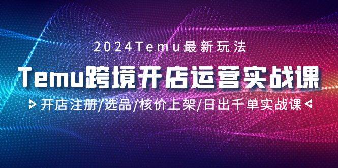 2024Temu跨境开店运营实战课，开店注册/选品/核价上架/日出千单实战课-华创网