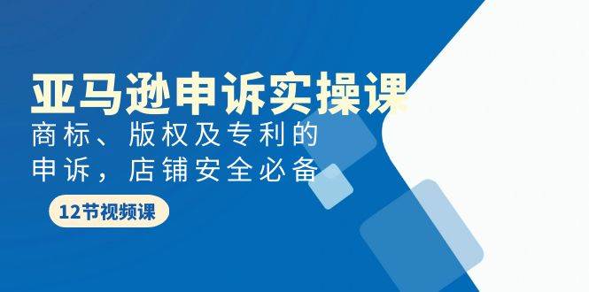 亚马逊-申诉实战课，商标、版权及专利的申诉，店铺安全必备-华创网