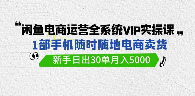 闲鱼电商运营全系统VIP实战课，1部手机随时随地卖货，新手日出30单月入5000-华创网