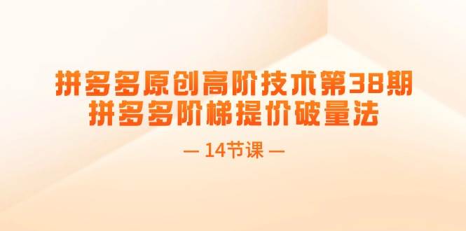 拼多多原创高阶技术第38期，拼多多阶梯提价破量法（14节课）-华创网