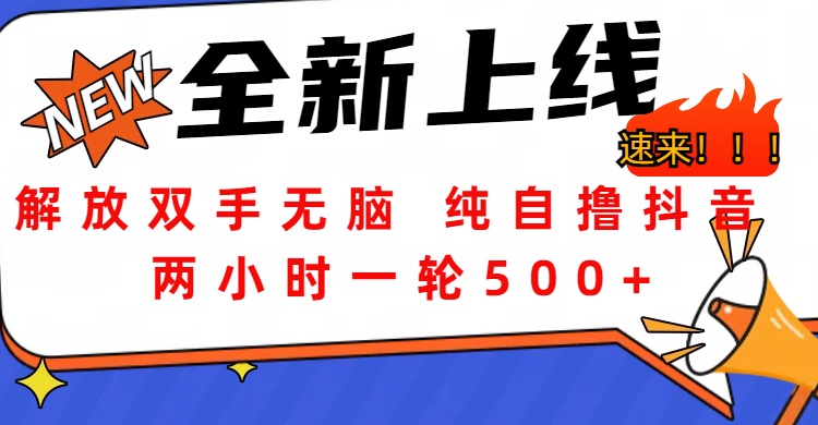解放双手无脑 纯自撸抖音 两小时一轮500+-华创网