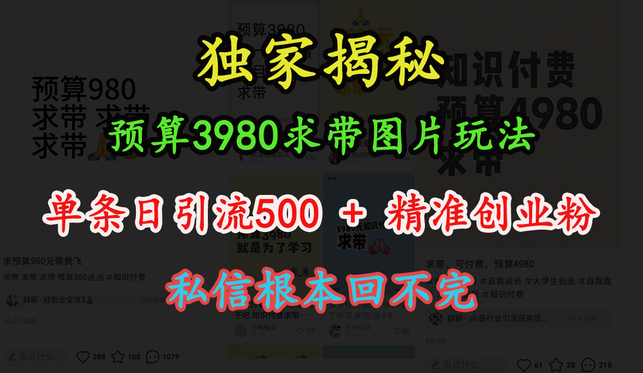 “小红书”预算3980求带 图片玩法，单条日引流500+精准创业粉，私信根本回不完-华创网