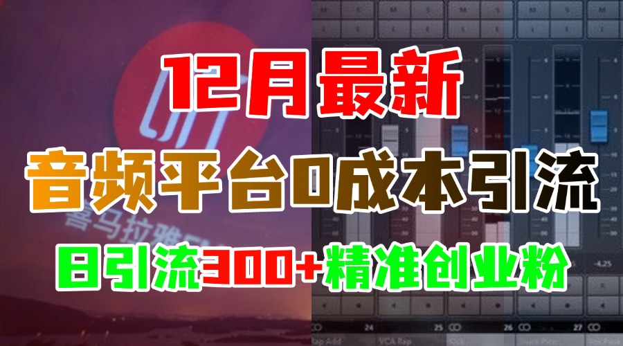 12月最新：音频平台0成本引流，日引300+精准创业粉-华创网