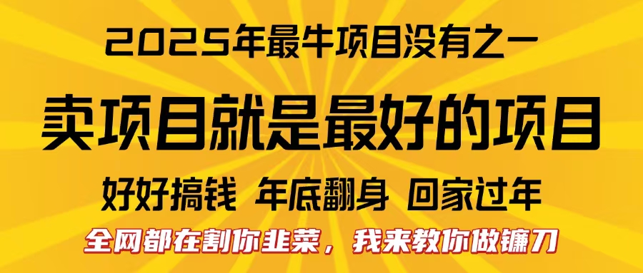 全网都在割你韭菜，我来教你做镰刀。卖项目就是最好的项目，2025年最牛互联网项目-华创网