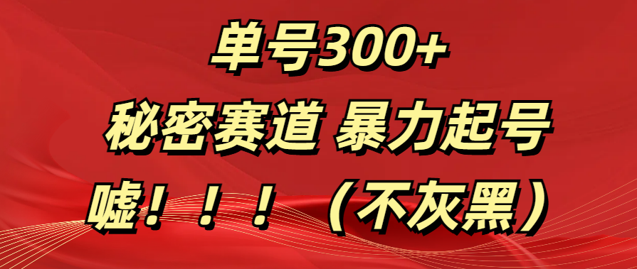 单号300+  秘密赛道 暴力起号  （不灰黑）-华创网
