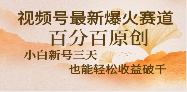 视频号独家玩法，老年养生赛道，无脑搬运爆款视频，日入2000+-华创网