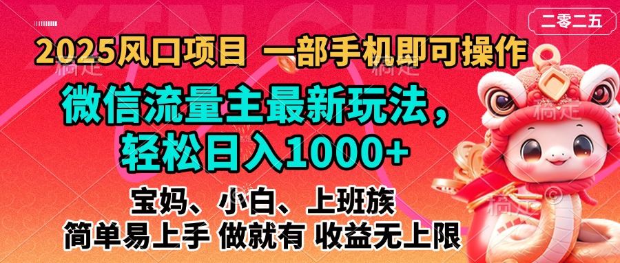 2025蓝海风口项目，微信流量主最新玩法，轻松日入1000+，简单易上手，做就有 收益无上限-华创网
