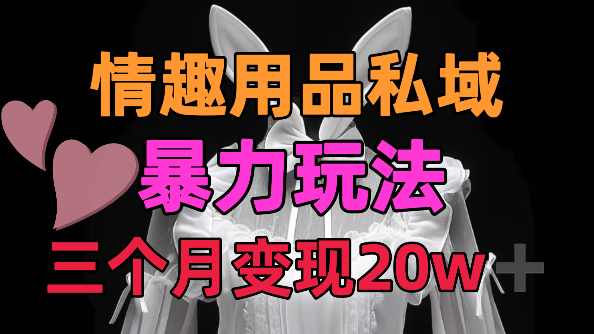 情趣用品私域，25年最新暴力玩法，三个月变现20w➕-华创网