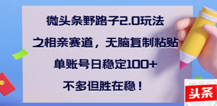 全网首发微头条野路子2.0玩法之相亲赛道，无脑搬砖复制粘贴，单账号日稳定300+保姆级教程-华创网