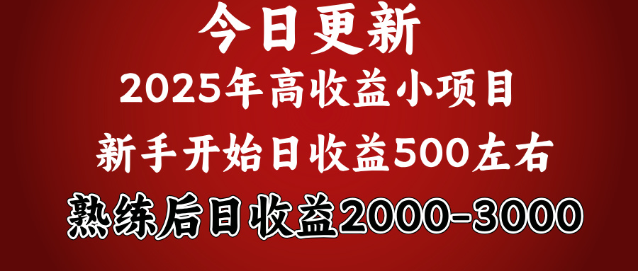 好项目一眼就能看出来，日收益1000，长久可做，2025拼的就是我比你勤奋-华创网