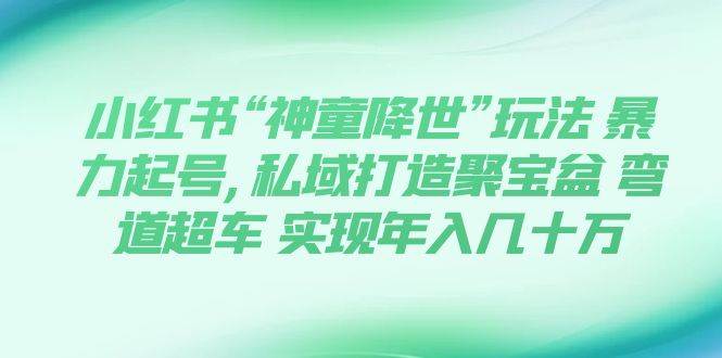 小红书“神童降世”玩法 暴力起号,私域打造聚宝盆 弯道超车 实现年入几十万-华创网
